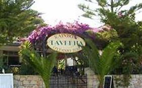 Rainbow Studios Zante